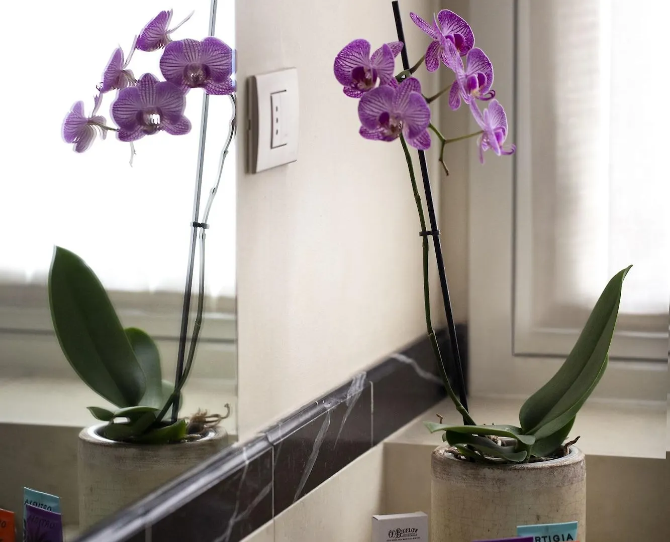 Hotel Colombia Milan 4*,